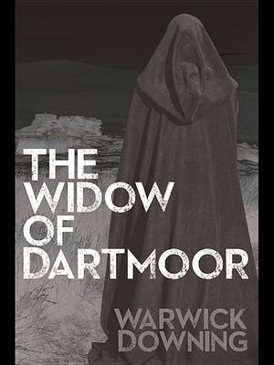 Book cover for The Widow of Dartmoor