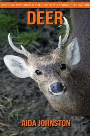 Cover of Deer