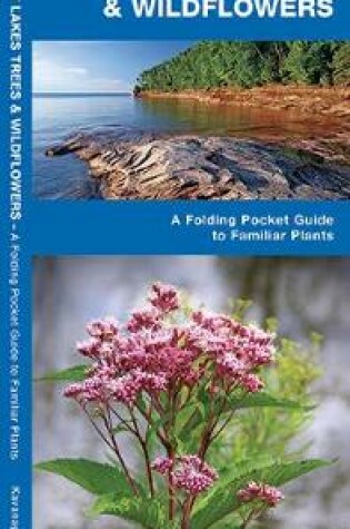Cover of Great Lakes Trees & Wildflowers