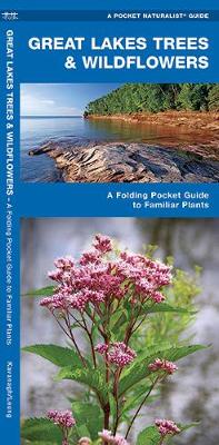 Cover of Great Lakes Trees & Wildflowers