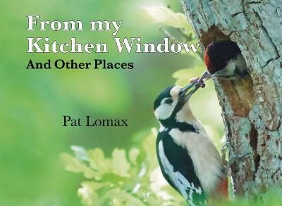 Book cover for From My Kitchen Window