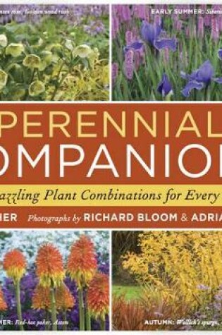 Cover of Perennial Companions