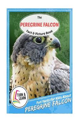 Book cover for The Peregrine Falcon Fact and Picture Book
