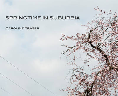 Book cover for Springtime in Suburbia