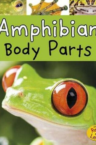 Cover of Amphibian Body Parts (Animal Body Parts)