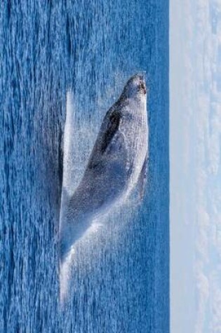 Cover of The Belly of a Breaching Humpback Whale