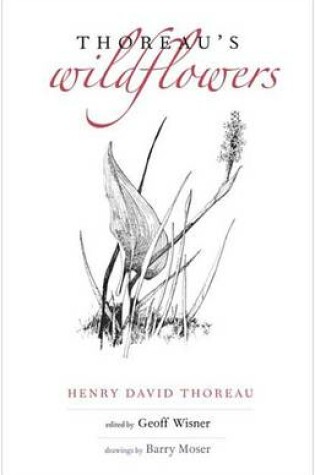 Cover of Thoreau's Wildflowers