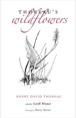 Book cover for Thoreau's Wildflowers