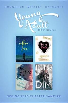 Book cover for Spring 2016 Young Adult Debut Novels