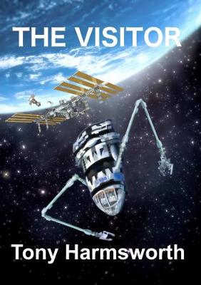 Book cover for The Visitor