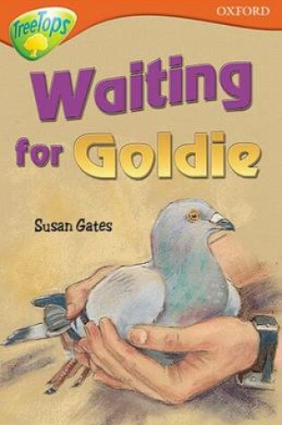 Cover of Oxford Reading Tree: Level 13: Treetops Stories: Waiting for Goldie
