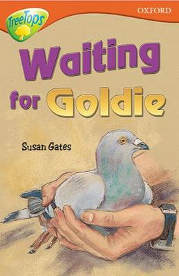 Book cover for Oxford Reading Tree: Level 13: Treetops Stories: Waiting for Goldie