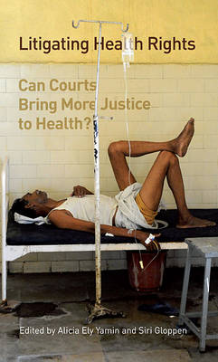 Cover of Litigating Health Rights