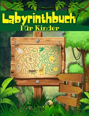 Book cover for Labyrinthbuch Für Kinder