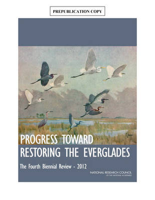 Book cover for Progress Toward Restoring the Everglades