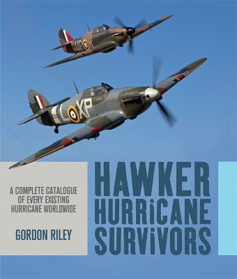 Book cover for Hawker Hurricane Survivors