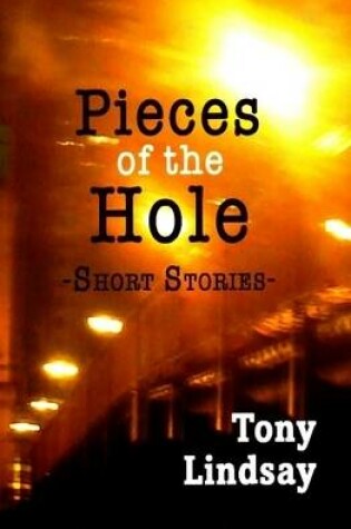 Cover of Pieces of the Hole