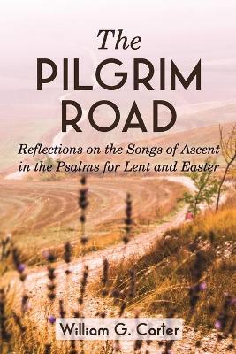 Book cover for The Pilgrim Road