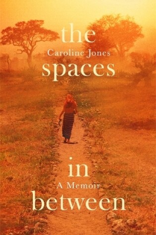 Cover of The Spaces In Between