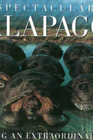 Cover of Spectacular Galapagos