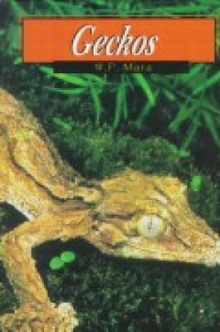 Cover of Geckos