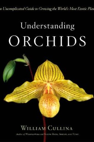 Cover of Understanding Orchids