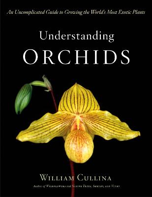 Book cover for Understanding Orchids