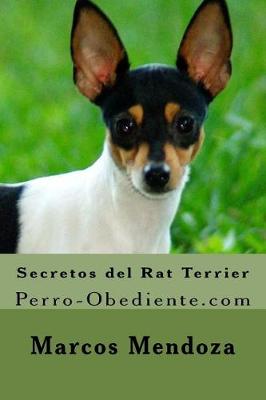 Book cover for Secretos del Rat Terrier