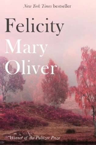 Cover of Felicity