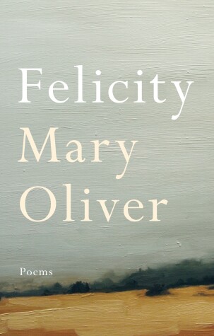 Book cover for Felicity