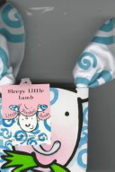 Book cover for Sleepy Little Lamb