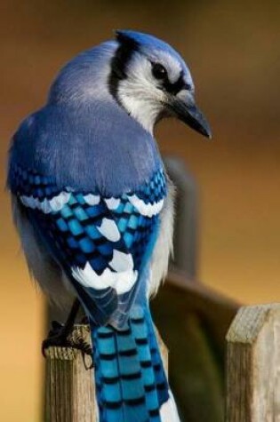 Cover of Bluejay on a Fence Post Journal