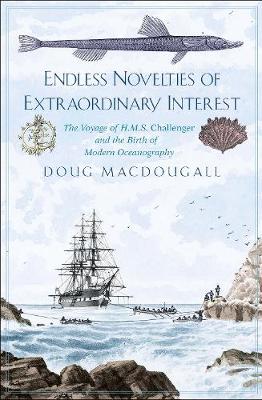 Book cover for Endless Novelties of Extraordinary Interest