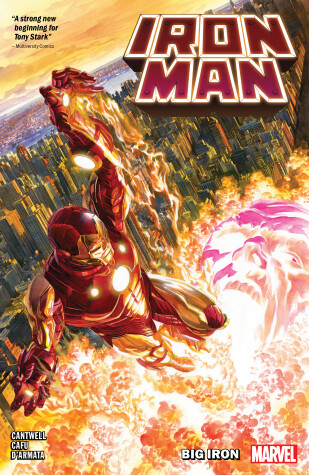 Book cover for Iron Man Vol. 1