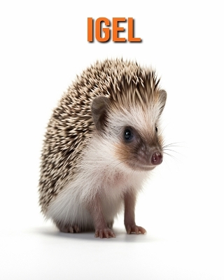 Book cover for Igel