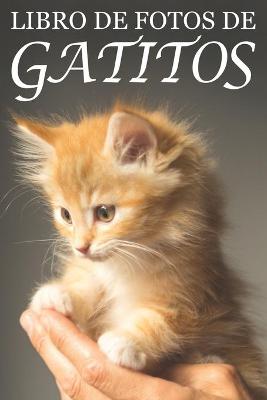 Cover of Libro de Fotos de Gatitos