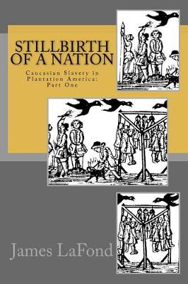 Book cover for Stillbirth of a Nation