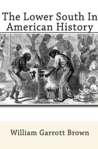 Cover of The Lower South In American History