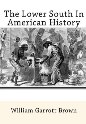 Book cover for The Lower South In American History