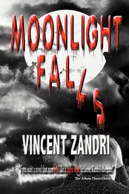Book cover for Moonlight Falls