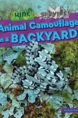 Cover of Animal Camouflage in a Backyard