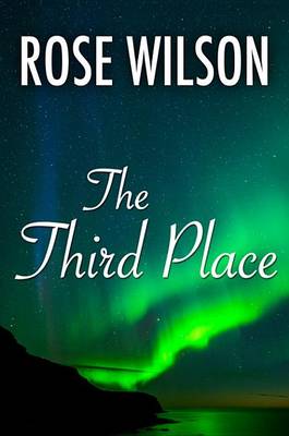 Book cover for The Third Place