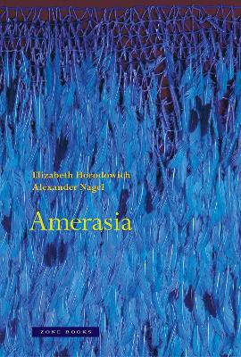 Book cover for Amerasia