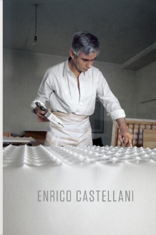 Cover of Enrico Castellani