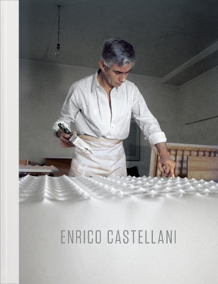 Book cover for Enrico Castellani