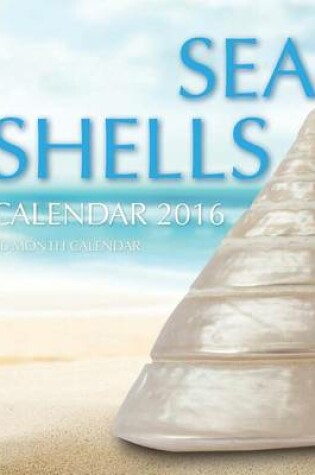 Cover of Sea Shells Calendar 2016