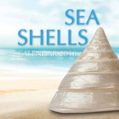 Book cover for Sea Shells Calendar 2016