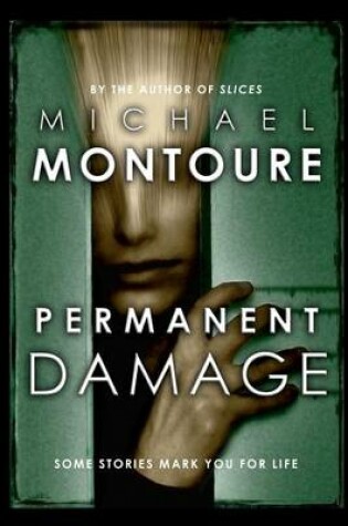 Cover of Permanent Damage