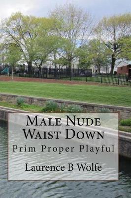 Book cover for Male Nude Waist Down