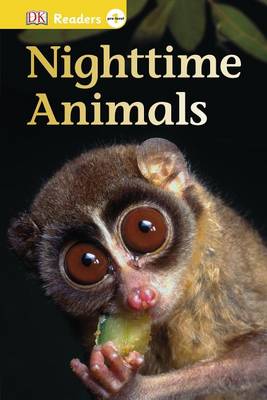 Book cover for Nighttime Animals